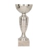 Pokal Arrow Silver