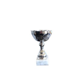 Pokal Silver big line