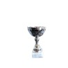 Pokal Silver big line