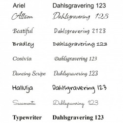 Postkasseskilt  60 x 200 mm Sølv med sort tekst