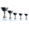 Pokal Silver big line