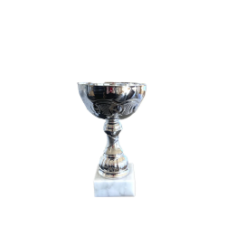 Pokal Silver big line